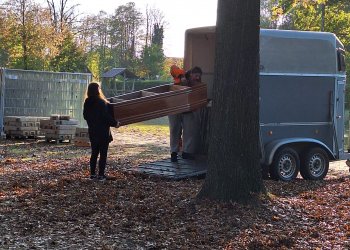 HHE 2024 Bilder &raquo; Abbau HalloweenHausEmsland 2024